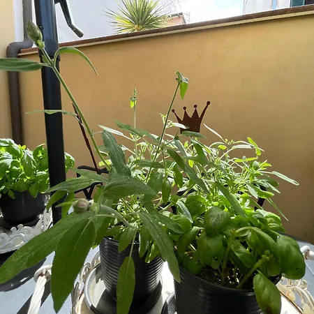 Design Close Beach Garden & Private Parking Apartmán *