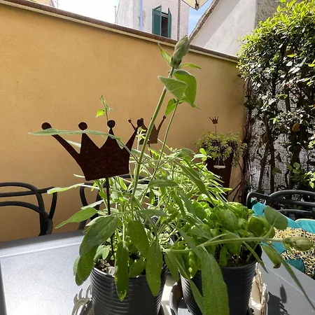Apartmán Design Close Beach Garden & Private Parking *