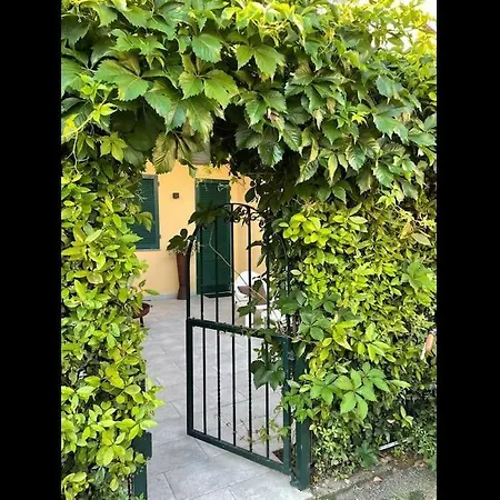 Design Close Beach Garden & Private Parking Appartamento Viareggio